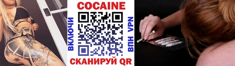 Cocaine FishScale  Новомичуринск 