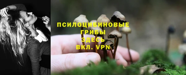 кокаин премиум Новодвинск